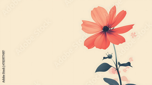 Beautiful colorful flower backgrounds are used for presentations or framed photos. Text background