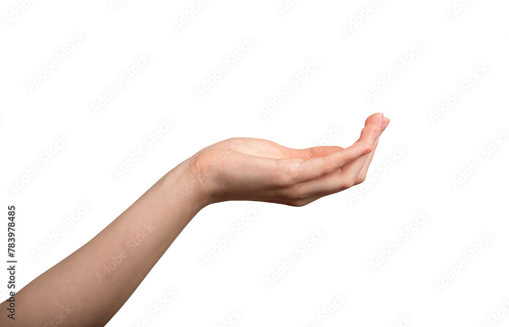 Hand palm, cup shape, showing gesture, holding something, empty, isolated on white background, transparent png Hand palm, cup shape, showing gesture, holding something, empty, isolated on white background, transparent png