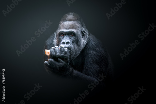 close-up artistic portrait of a gorilla