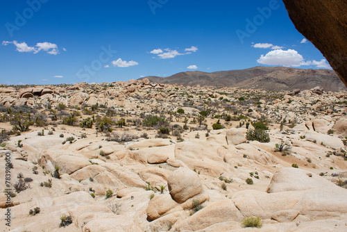 Overview of Arch Rock Trail in Joshua Tree National Park, California, USA