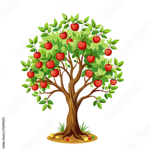Apple tree vector illustration isolated on white background, farming concept, tree with fruits