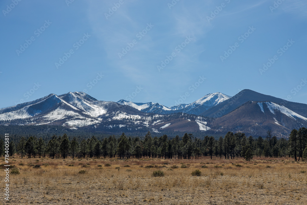 Fototapeta premium snowy mountain close up with grassland meadow and forest