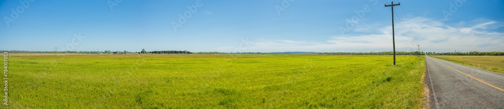 green field with paved country road and blue sky