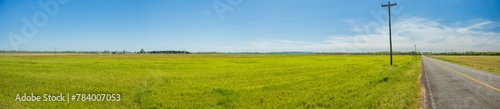 green field with paved country road and blue sky