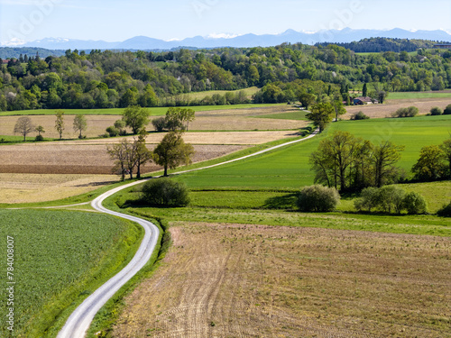 Petite route vers les montagnes