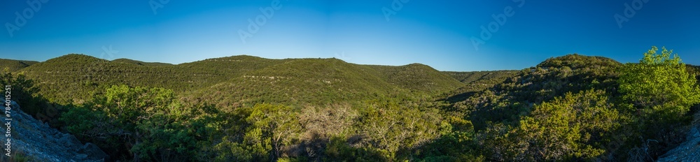 early morning forest over rolling hills with clear blue sky