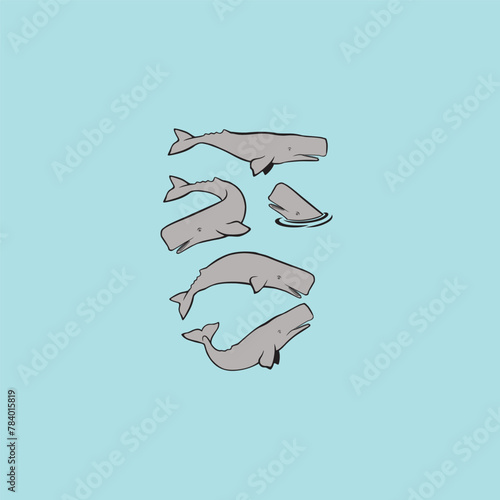 sperm whale set