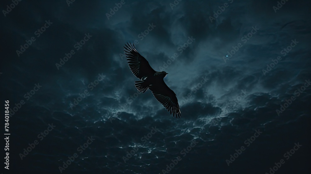 Obraz premium eagle in the sky