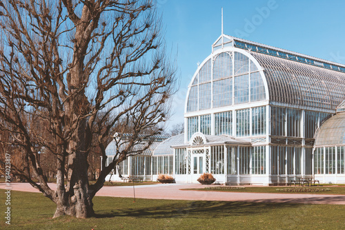 The Palm House in Gothenburg lush garden, a Victorian style glasshouse, standing elegantly beside a bare tree, concept of historic conservatories and tourism. Gothenburg, Sweden