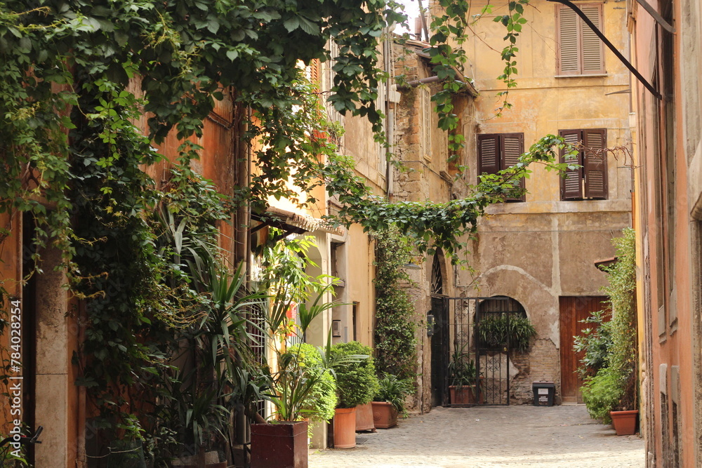 Trastevere alley in Rome with bushes