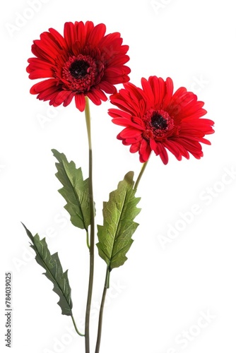 Bright red flowers in a vase  perfect for home decor