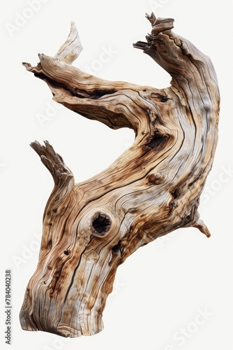 Detailed view of wood piece on white background. Ideal for design projects