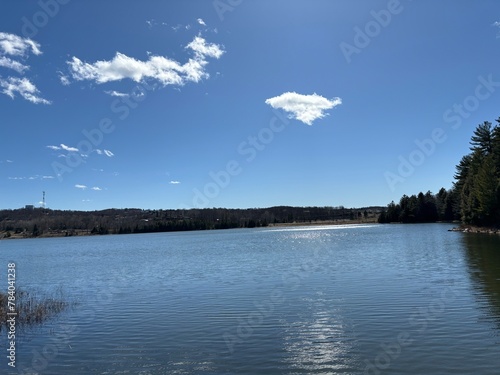 Blue skuy with a single white fluffy cloud over a shimmering lake  photo