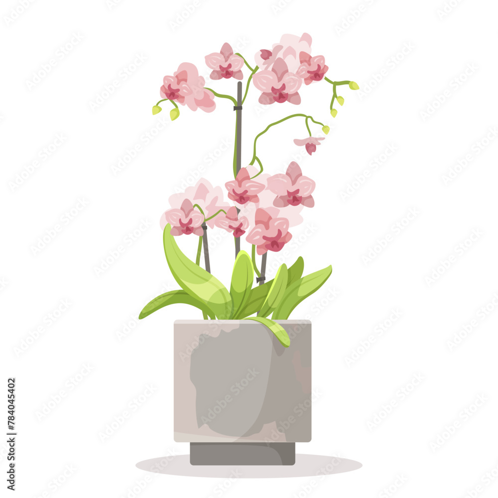 Vector illustration of pink orchids in a ceramic pot, cartoon style, on a plain background, concept of home decor. Vector illustration Vector illustration of pink orchids in a ceramic pot, cartoon style, on a plain background, concept of home decor. Vector illustration