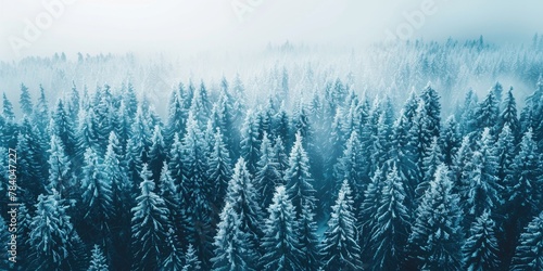 A winter wonderland with snow-covered trees. Perfect for seasonal designs photo