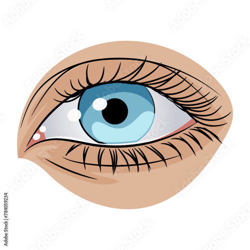 Close-up vector illustration of a blue human eye on a white background, depicting the concept of vision. Vector illustration