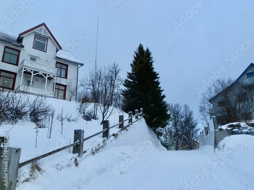 Deep snow blankets this road leading uphill to a residential community in Tromso in January. © Margaret LN Brooks