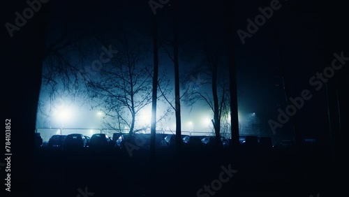 Spooky Night: Enter the realm of Halloween with a fog-shrouded park, where every shadow hides a mystery and every sound sends shivers down your spine. photo