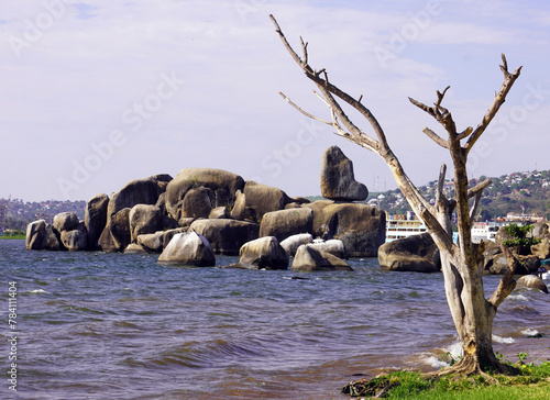 Granite blocks of Bismarck Rock with a leafless tree in the foreground and Lake Victoria in the background photo