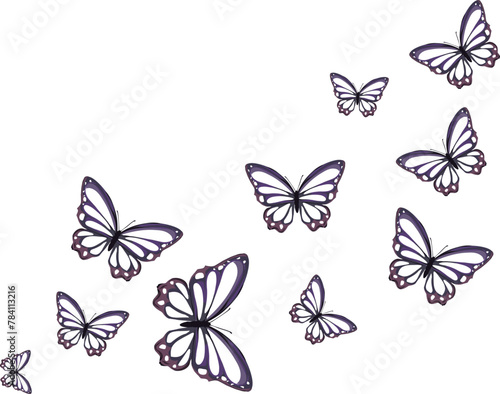 grey scala butterfly purple butterfly AR DESGN.eps © gltekin