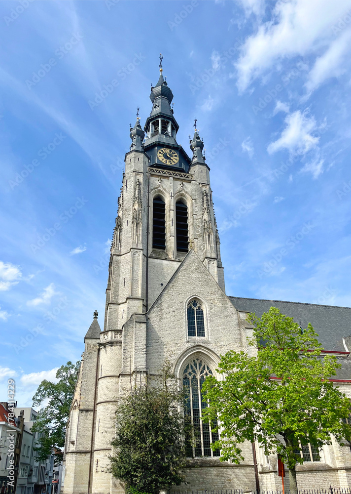 St-Martin's Church is the main church and one of the principal Gothic monuments of Kortrijk, Flanders, Belgium. The church is dedicated to Saint Martin of Tours