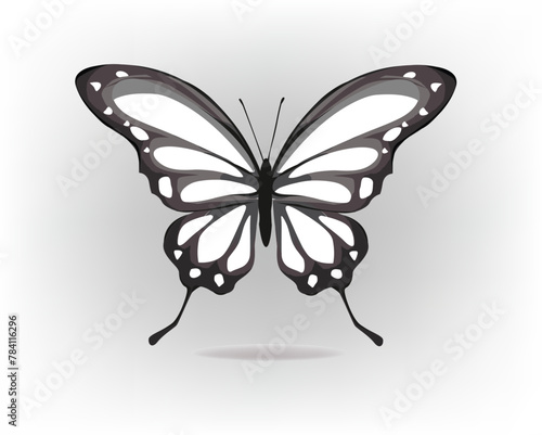 grey scala butterfly.eps