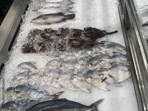 Cut fish Butter Fish, Mackerel , pomfret on display in ice in a fish market