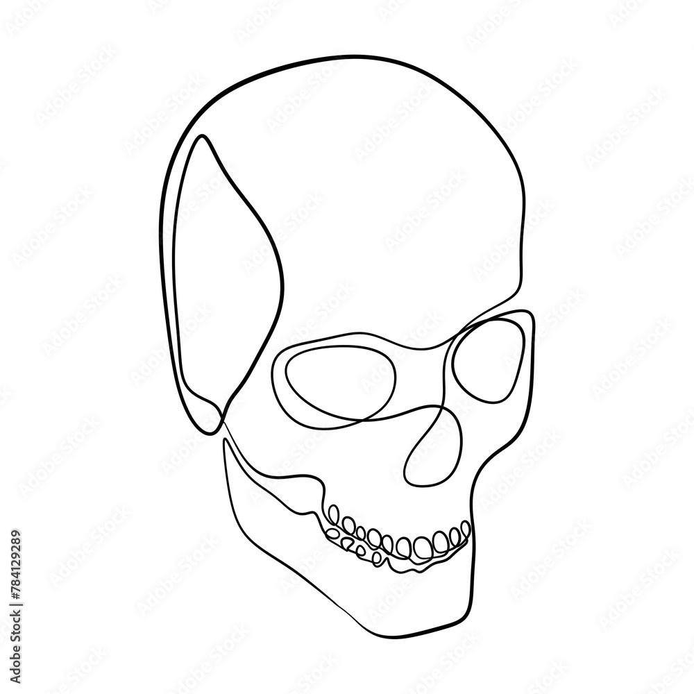 Human Skull Continuous One Line Drawing. Skull Outline Drawing Line Art. Human Skull Line Abstract Human Skull Continuous One Line Drawing. Skull Outline Drawing Line Art. Human Skull Line Abstract