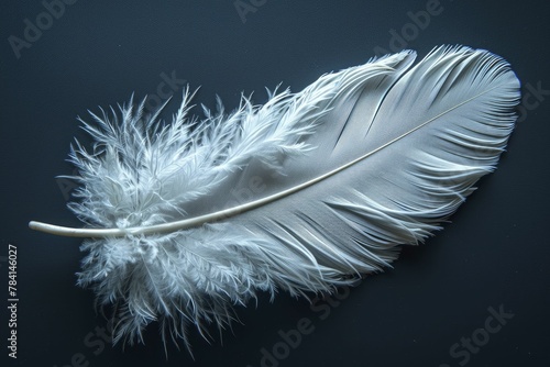 A lone, stark white feather contrasts beautifully with a deep backdrop, revealing nature's intricate elegance and simplicity.
