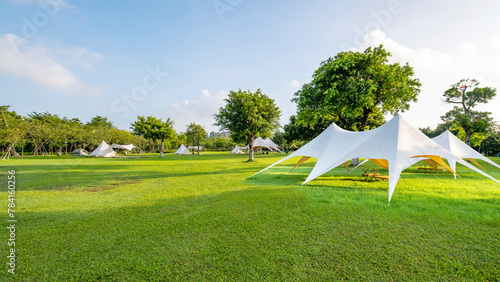 Tents on Camping Grassland in the Park in the Morning