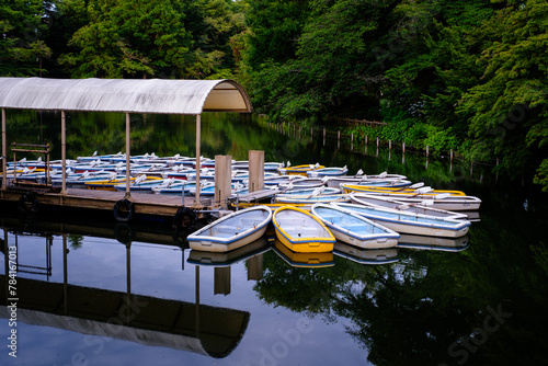 池に佇む色とりどりのボート
Colorful boats standing on a pond