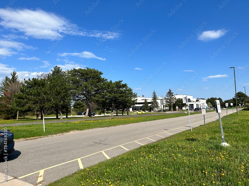 Fototapeta premium park in the city