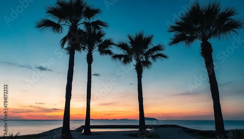 Silhouette of palm trees on sunset sky background © Beste stock