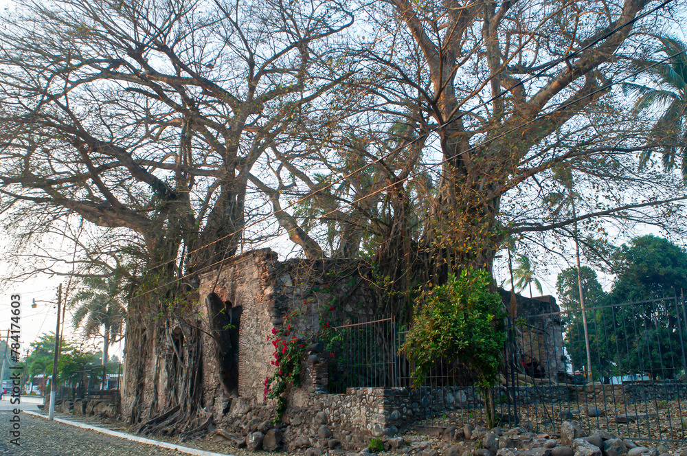 la antigua, casa de hernan, finca, hernan cortes, ramas, arboles, raices, veracruz, amate, chicontepec, portal la antigua, casa de hernan, finca, hernan cortes, ramas, arboles, raices, veracruz, amate, chicontepec, portal