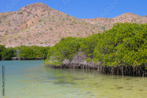 lake in the mountains
