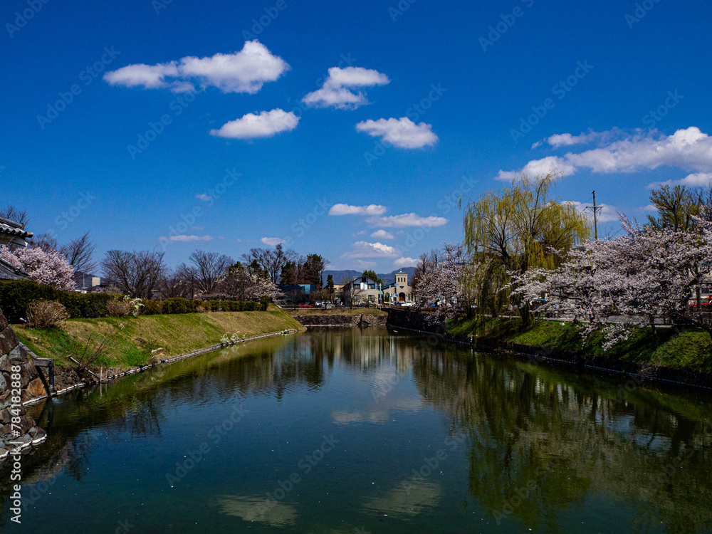 満開の桜と青空　松本城　外堀
