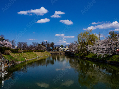満開の桜と青空 松本城 外堀