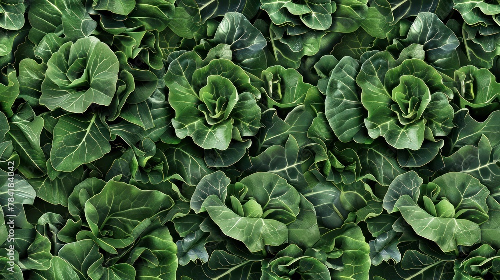 Collard Greens background as seamless tile tile Collard Greens background as seamless tile tile