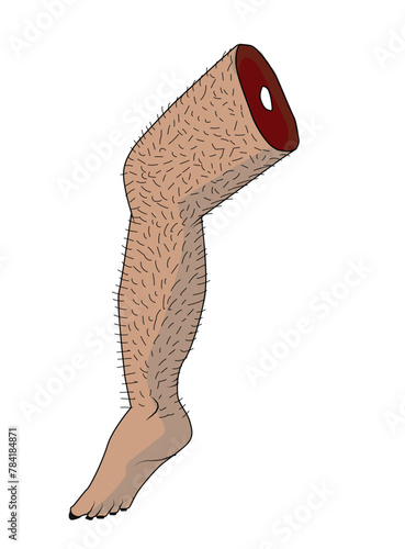 Perna Cabeluda