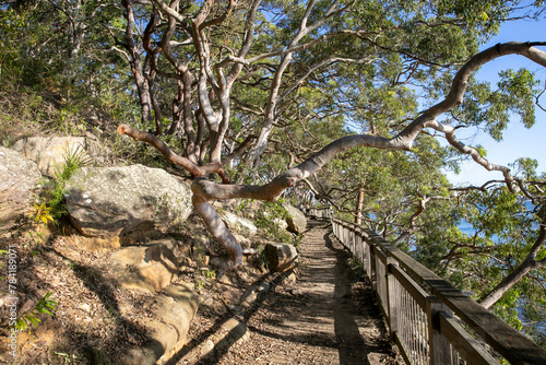 Manly to Bondi Walking Track Sydney
