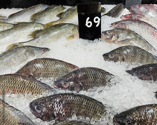 Fresh Thai Carp or Tilapia freezing on ice with price tag and copy space at fish market. Animal, Food, Cold and Freshness Supermarket concept.