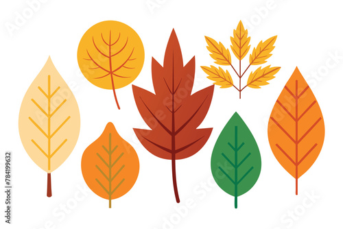 set of colorful autumn leaves vector