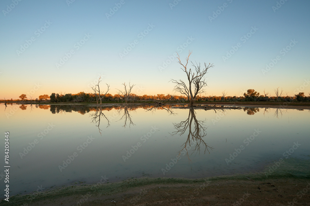 Lake Pinaroo at sunset with dead trees reflected in the lake, Sturt National Park, Australia. 