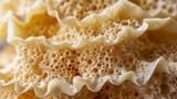 The texture of biodegradable sponges up close, a testament to creative recycling solutions
