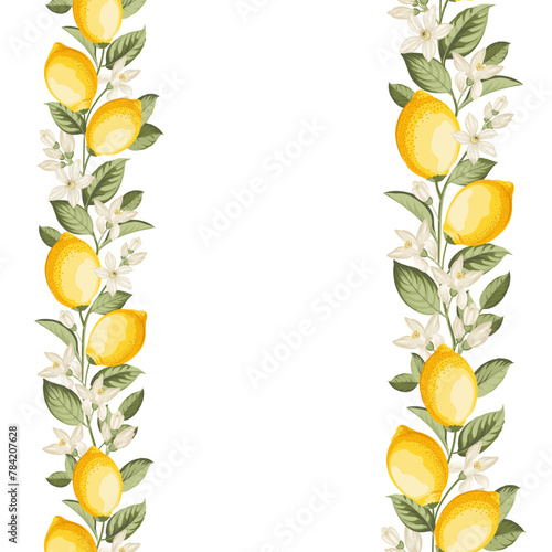Lemon frame illustration. hand-drawn citrus.