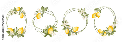 Lemon frame illustration. hand-drawn citrus. © Kotkoa
