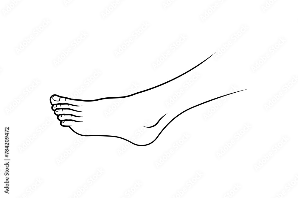 Side view of human footline art vector isolated on white background. Side view of human footline art vector isolated on white background.