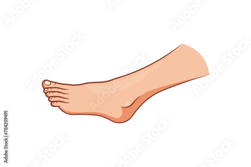 Side view of human foot vector isolated on white background.