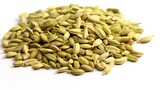 Fennel seeds isolated on white background. Clipping path.