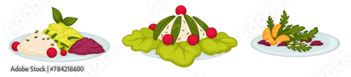 Fresh Salad Plates Vector Set